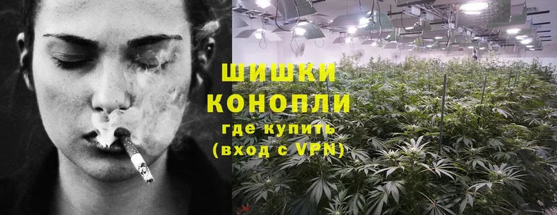 Канабис SATIVA & INDICA  Павлово 